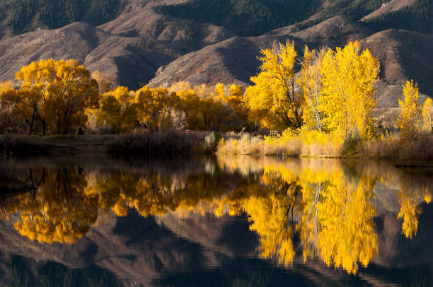 istock Beautiful Autumn Morning at the Lake 2191328982