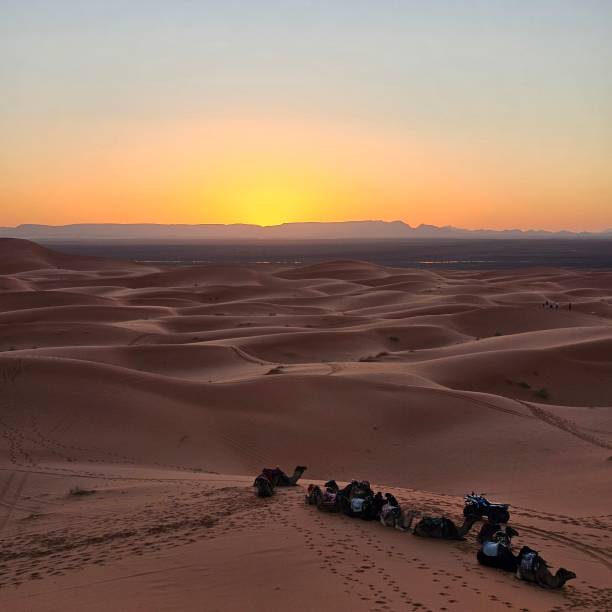 istock The Sahara Desert Shadows on Sand Dunes 2191329460