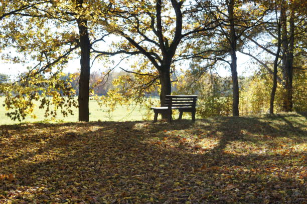 istock Beautiful Autumn Season in Germany 2191335718