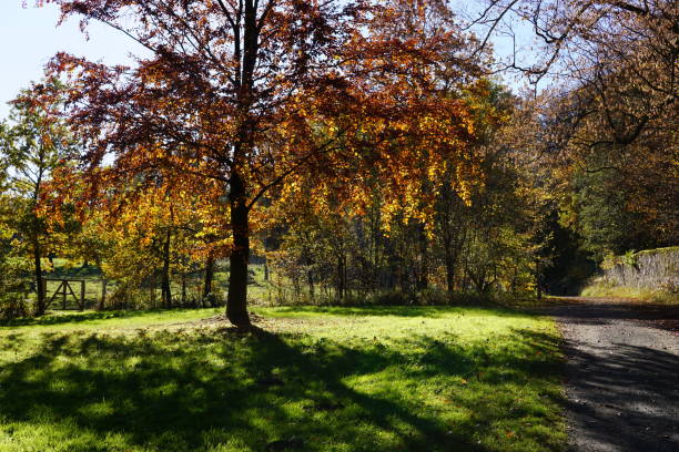 Beautiful Autumn Season in Germany
