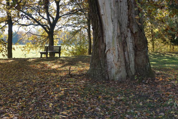 Beautiful Autumn Season in Germany