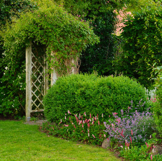 istock Photos from my garden 2191336931