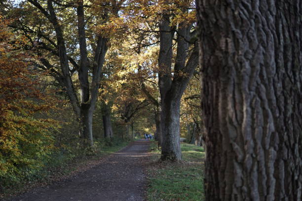 istock Autumn Season in Germany 2191337942