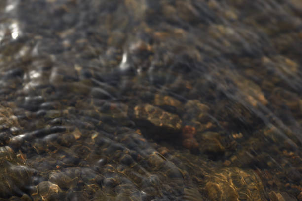 Rippling water over smooth riverbed stones with natural light reflections. Tranquil aquatic texture and nature concept.