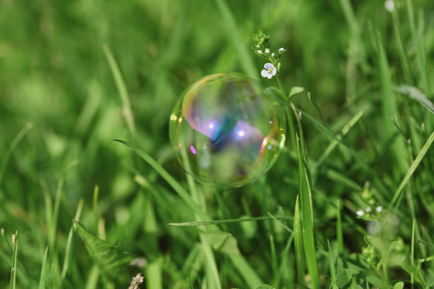 Soap bubble floating over green grass with small white flowers. Macro shot with vibrant colors. Spring and summer outdoor concept for design and print.