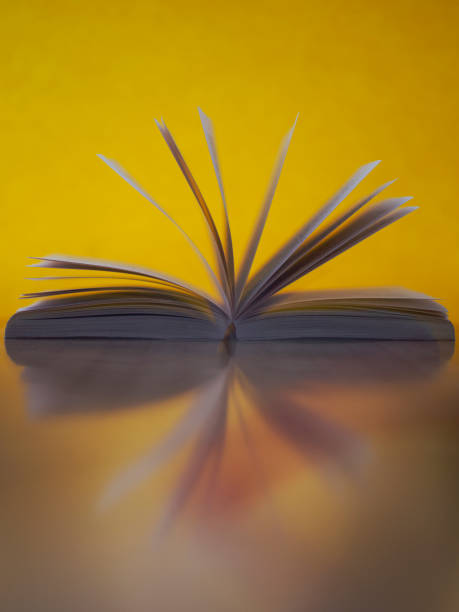 Open book with knowledge lying on wooden table