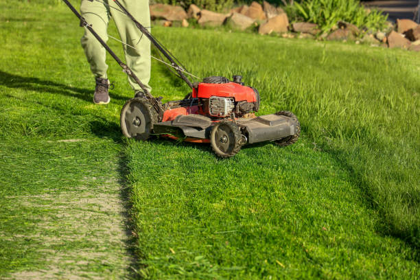 istock Close-up of a red lawn mower cutting grass with visible mowing path 2191347804