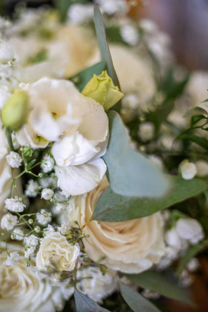 istock Close-up of white roses, greenery, and delicate baby's breath 2191347825