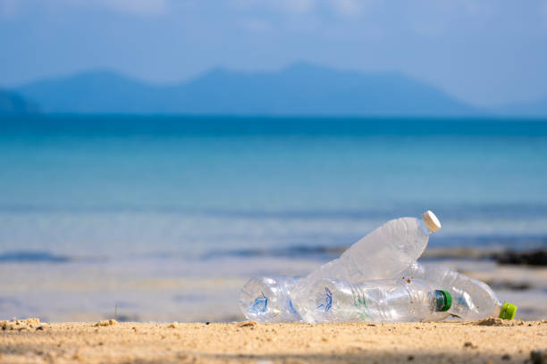 istock Trash, plastic cups and plastic bags at the beach. environmental problem concept and healing the world 2191351012