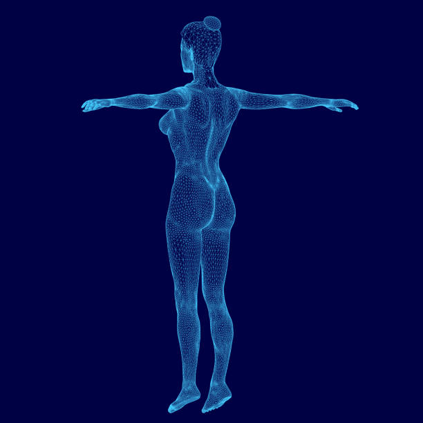 istock Woman's body is shown in a blue color scheme. The image is a computer-generated rendering of a woman's body, and it is a 3D model 2191351644