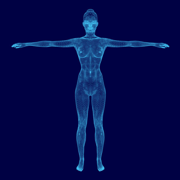 istock Woman's body is shown in a blue color. The image is a computer-generated image of a woman. The woman is standing with her arms crossed, and her body is shown in a very detailed manner 2191351736