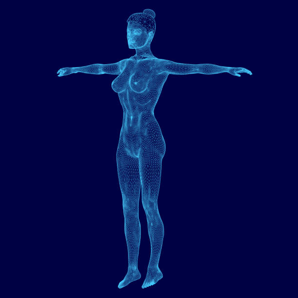 istock Woman is standing in a blue background with her arms outstretched. The image is a 3D rendering of a woman's body, and the blue color gives it a futuristic and otherworldly feel 2191351774