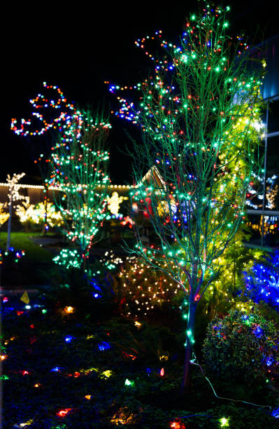 istock Christmas Trees Illuminated with Holiday Lights 2191352952