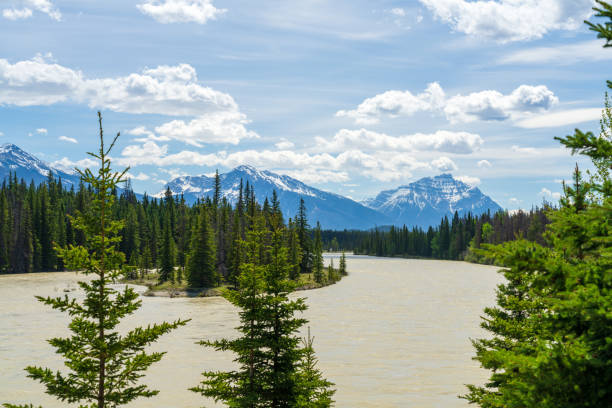 istock Jasper National Park Athabasca River summer landscape. Alberta, Canada. Canadian Rockies. 2191353024