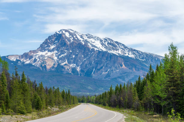 istock Icefields Parkway (Alberta Highway 93) in Jasper National Park, Alberta, Canada. Canadian Rockies summer landscape. 2191353042
