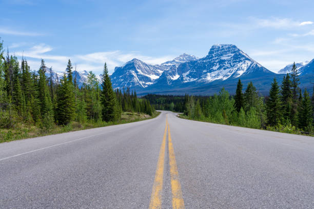 istock Icefields Parkway (Alberta Highway 93) in Jasper National Park, Alberta, Canada. Canadian Rockies summer landscape. 2191353049