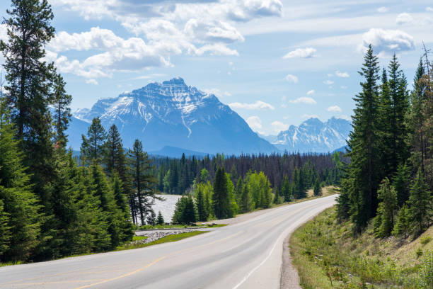 Icefields Parkway (Alberta Highway 93) in Jasper National Park, Alberta, Canada. Canadian Rockies summer landscape.