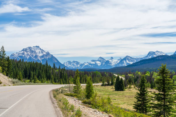 istock Icefields Parkway (Alberta Highway 93) in Jasper National Park, Alberta, Canada. Canadian Rockies summer landscape. 2191353064