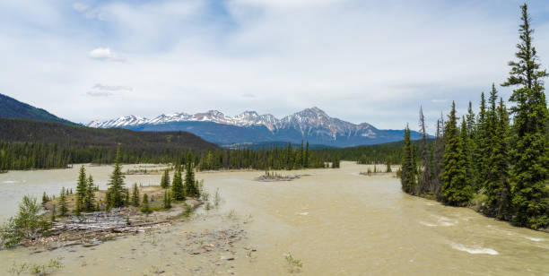 istock Jasper National Park Athabasca River summer landscape. Alberta, Canada. 2191353110