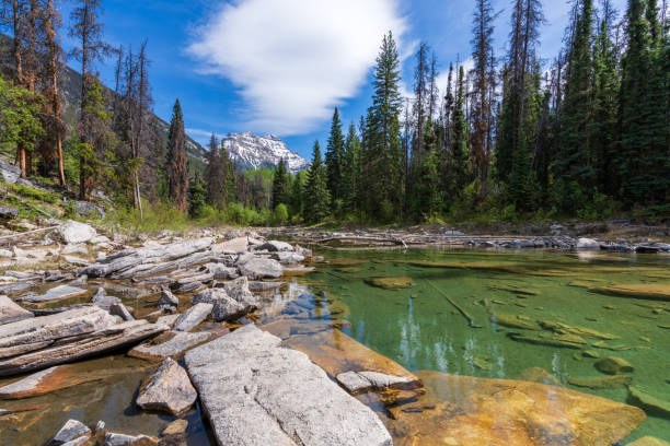 istock Horseshoe Lake in Jasper National Park, Alberta, Canada. 2191353221