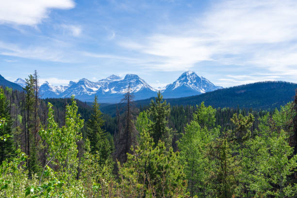 istock Athabasca Pass Lookout summer landscape in Jasper National Park, Alberta, Canada. 2191353232