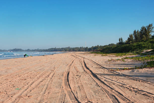 atlantic ocean, casamance area, senegal, west africa - ziguinchor fotografías e imágenes de stock
