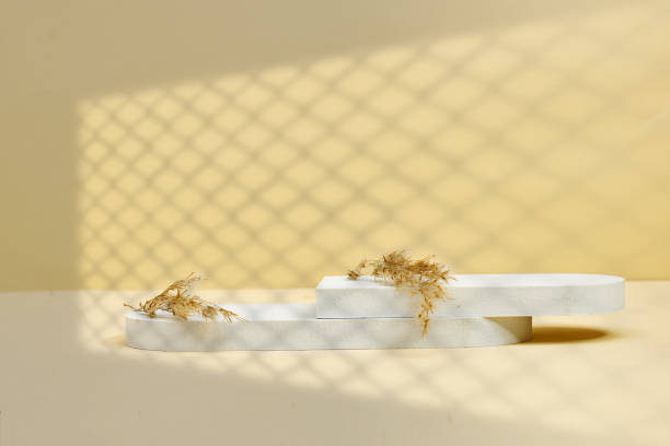 istock Minimalist composition with white podiums decorated with dried grass against a warm yellow background. Soft grid shadows fall on the wall, adding depth and texture 2191360514