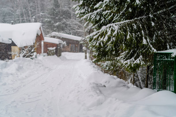 terrible snowstorm in a small village near a forest, winter scene