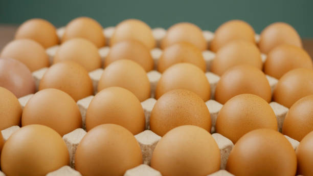istock Chicken eggs, high protein food, egg shells arranged in rows, eating habits to build muscle and maintain good health 2191361473