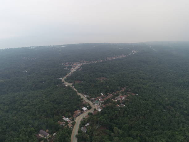 Aerial View of Dark Forest Road at Dusk