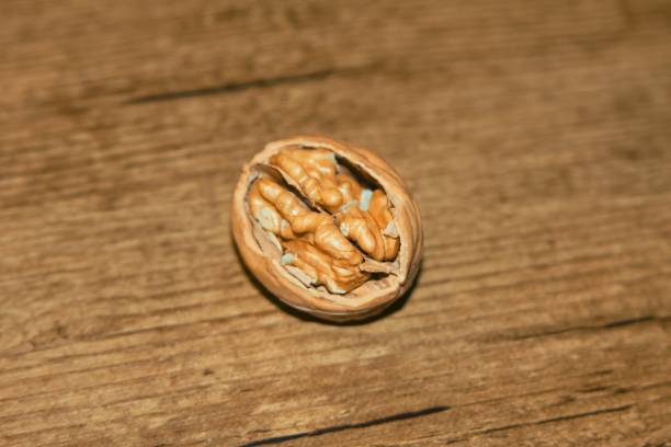 paper-shelled walnut