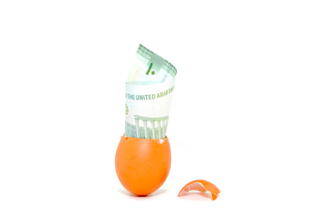 istock Cracked egg shells with bank notes isolated on white background closeup view copy space, Concept background photography 2191364485