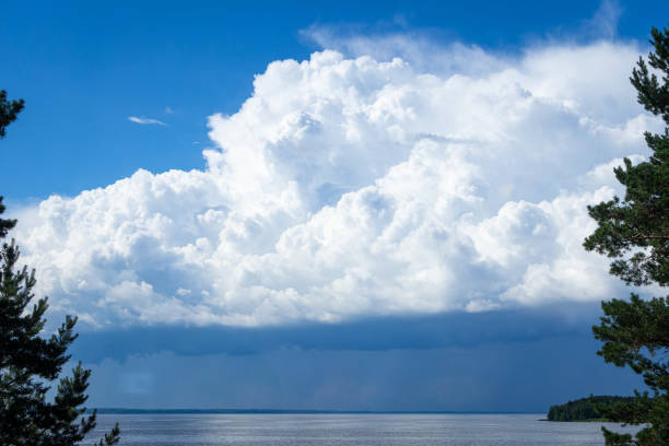 Big sky with puffy clouds and deep green trees