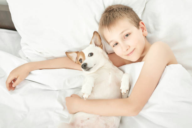 istock Boy with dog on bed 2191376651