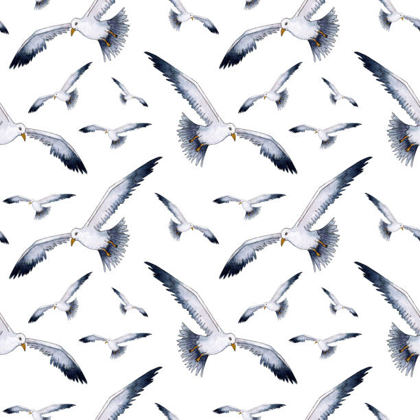 istock Watercolor drawing pattern of a realistic seagull. Seamless repeating print of stylized seagulls. Nautical background with minimalist ornament. Sea life, flying birds. Isolated on white background. 2191377202