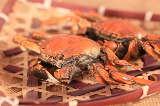 istock Hairy crab, Chinese delicacy 2191378674