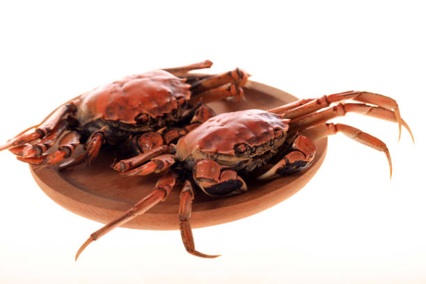 The crab is on the table