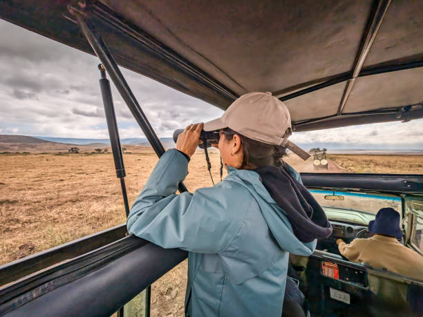 istock Female traveler using binoculars while riding safari vehicle , scanning wildlife across sweeping ngorongoro conservation area grasslands in tanzania 2191380286