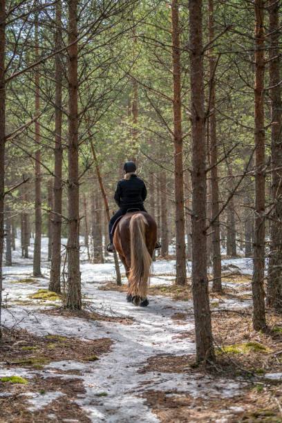 istock Woman horseback riding in forest 2191380510