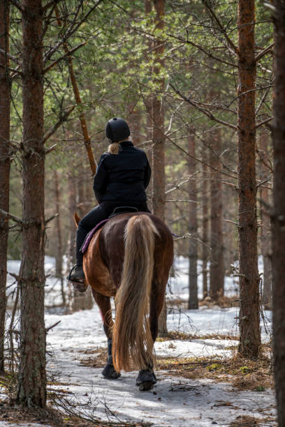 istock Woman horseback riding in forest 2191380594