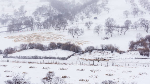 The snow covered grasslands of Ulaanbaatar in China are very beautiful