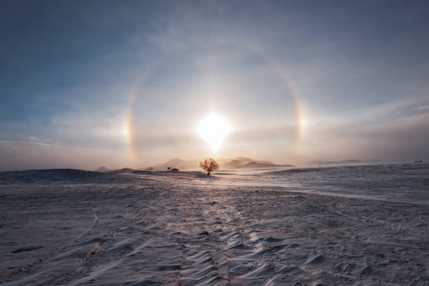 The beautiful sunset on the snowy grassland, with a halo of light