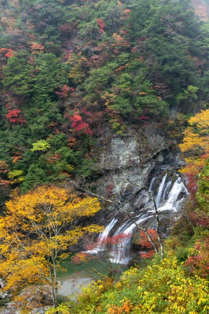 Location: Tosa Town, Tosa District, Kochi Prefecture, Japan\nThis is Setogawa keikoku.