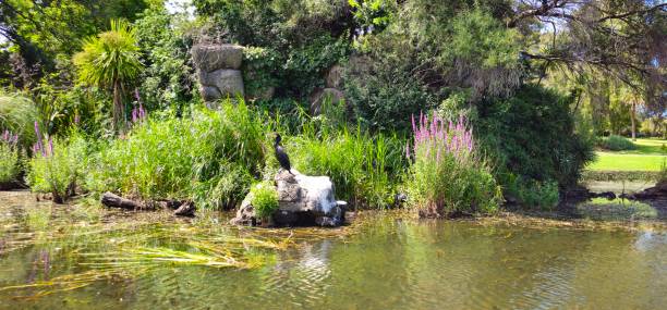 Beautiful Royal Botanic Garden in Melbourne City.