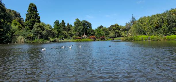 istock Royal Botanic Garden.    Melbourne-Australia. 2191385837
