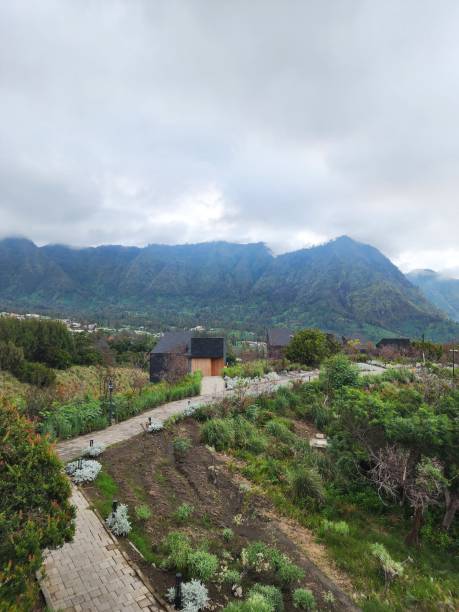 istock Landscape view form a cabin on a hill 2191386730