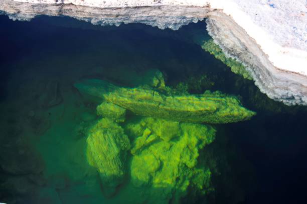 istock salt lake water hole 2191388369