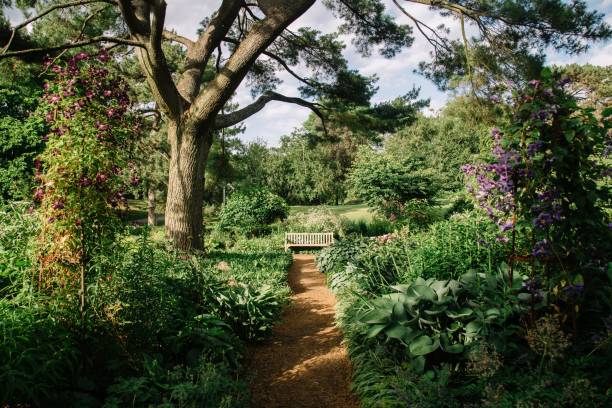istock Serene garden path with vibrant flowers. 2191389169