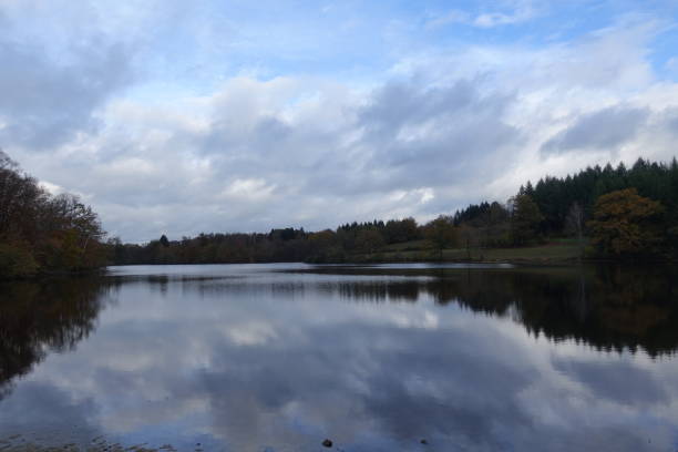 istock Forest all around a pond  Cloud background reflections La Creuse France 2191389986