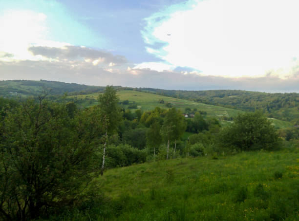 This is a landscape painting of a grassland. In the picture, the vast green grassland spreads out like a green carpet, with distant mountains and bright green grass. Several trees are scattered here and there, adding a touch of natural charm. Above is an open sky, with bright colors. The overall atmosphere is fresh and natural, conveying a peaceful and distant rural atmosphere. It seems that one can smell the fragrance of the grass and feel the comfort of the gentle breeze. However, from the presentation of the picture, the characteristics of the grassland can be associated with its vastness and grandeur.
